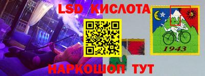СК Волгодонск