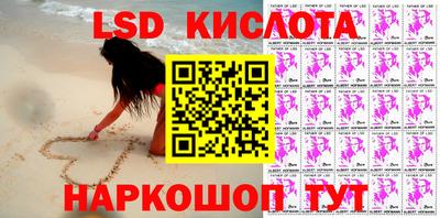 крисы Новокубанск