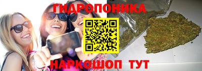 гашик Волжск